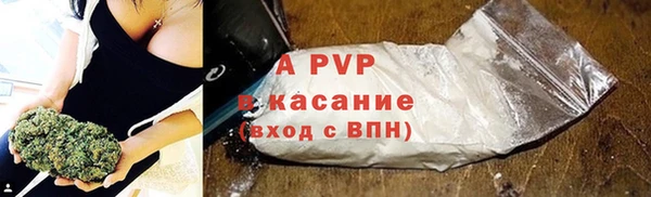 ПСИЛОЦИБИНОВЫЕ ГРИБЫ Кукмор