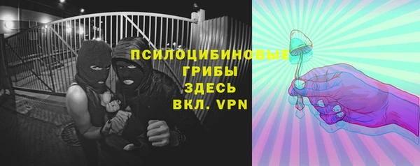 экстази Краснослободск