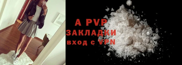 ПСИЛОЦИБИНОВЫЕ ГРИБЫ Кукмор