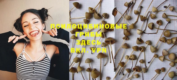 винт Кулебаки