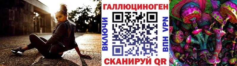 Купить закладки  Тара  Галлюциногенные грибы Psilocybine cubensis 